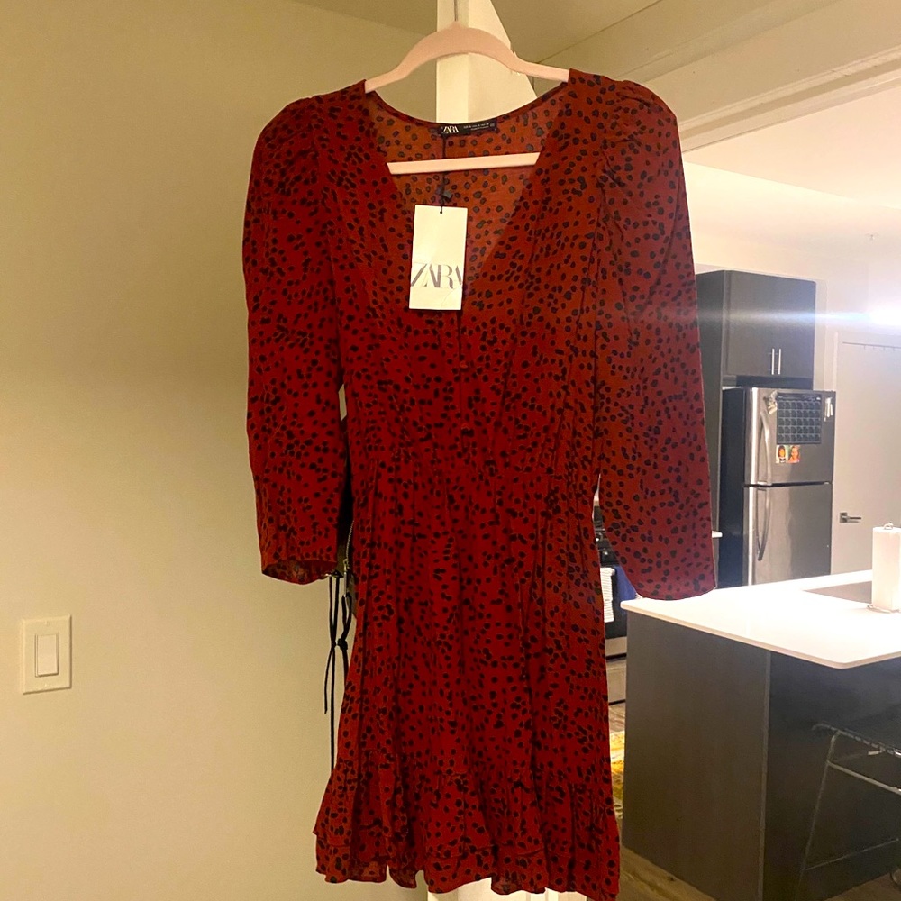 Zara Long Sleeve Dress